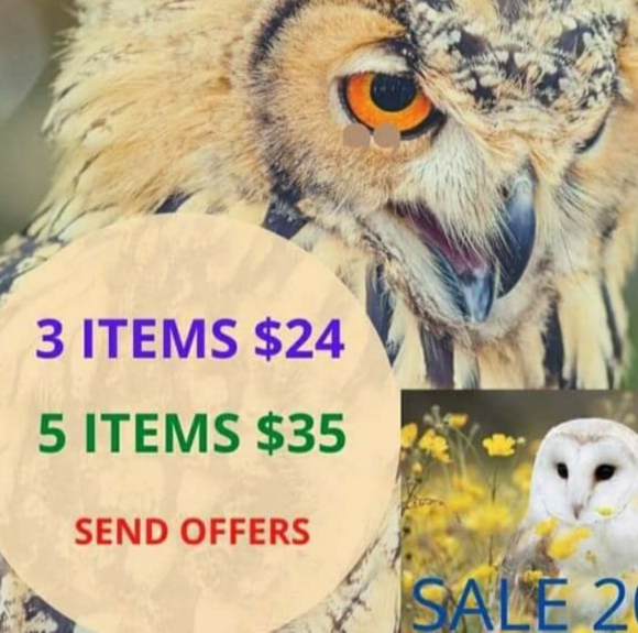 All post with an owl 🦉